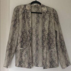 Aritzia silk blazer